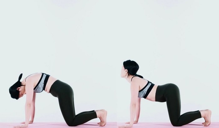Tư thế yoga con Mèo – Con Bò (Cat–Cow)