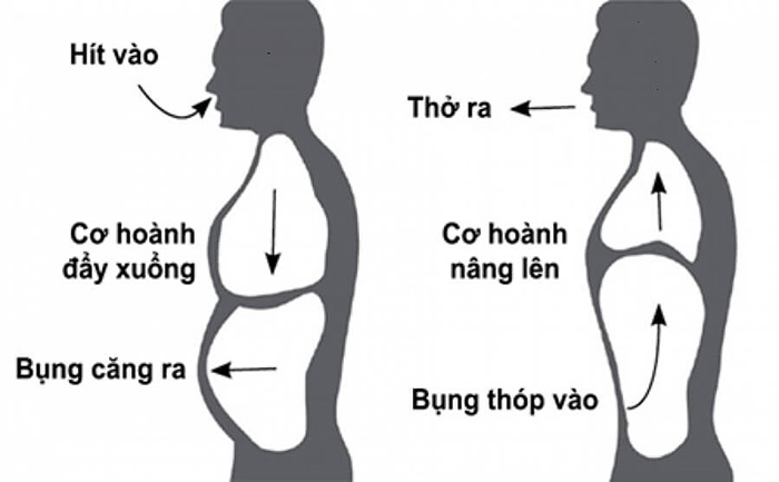 Thở bụng và cơ hoành là nền tảng để âm thanh lan tỏa tự nhiên từ ngực và bụng.
