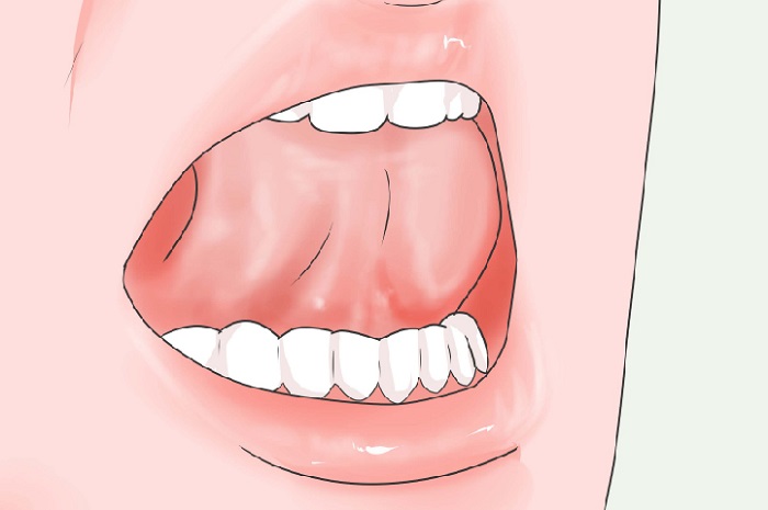 Hàm – lưỡi ảnh hưởng trực tiếp đến độ rõ của giọng nói